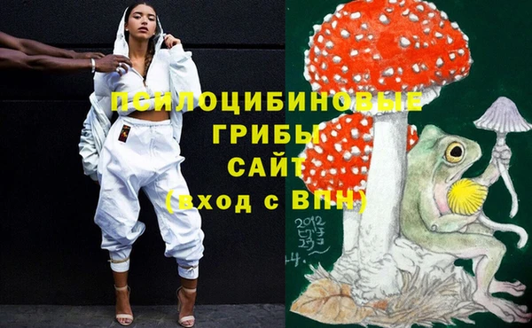 трава Вязьма