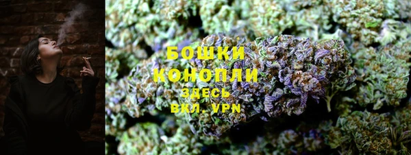 трава Вязьма