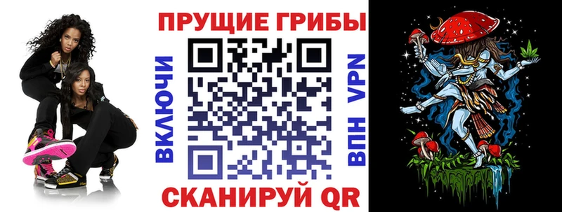 Купить где  Ипатово  Псилоцибиновые грибы Psilocybine cubensis 